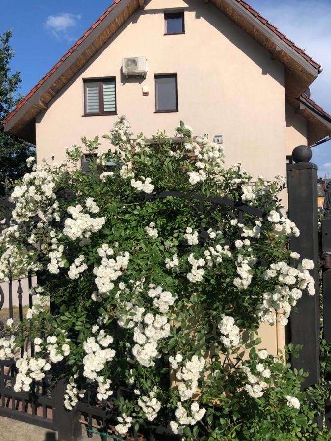 Pokoje Goscinne Na Wodnej Lidzbark Welski Exterior photo